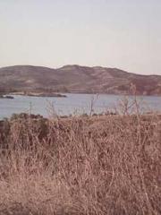 King of the Nine Pro