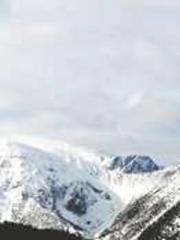 The Wife of My Heart