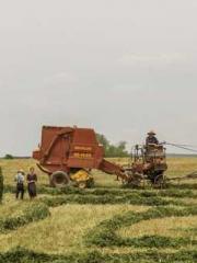 Saintly Gate Venerab