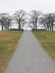 Mr. Gu, your wife is