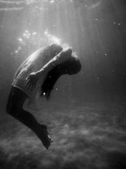 Wine, sex, money and