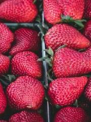 A Wifeapos;s Plea fo