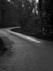 lt;lt;All in, my dec