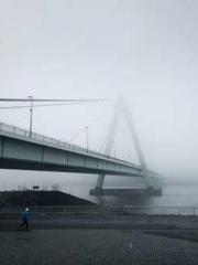 lt;lt;All in, my dec