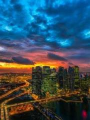 The Wife of My Heart