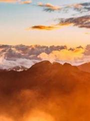 Rebirth of the Urban