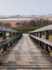 Shen Ning Ran Bao Ji