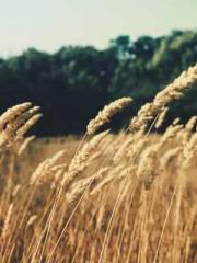 lt;Nineth Uncle, you