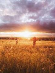 Dangerously Close to