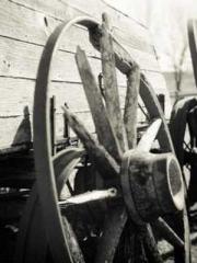 lt;Marry at first si