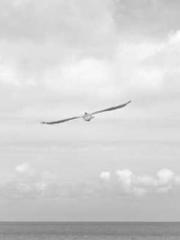 On our wedding night