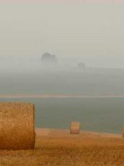 Rebirth of the Urban