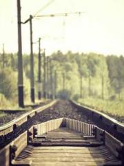 Spring fills Beijing