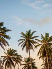 lt;lt;All in, my dec