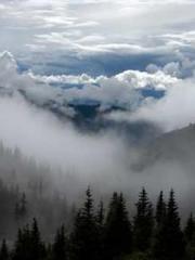 The Wife of My Heart