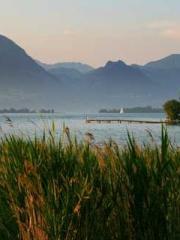 The Best Little Body