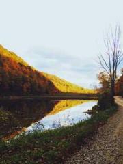 lt;lt;All in, my dec