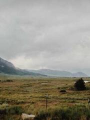 Super husband Lin Xi