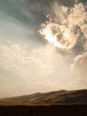 Transmigration: Feel