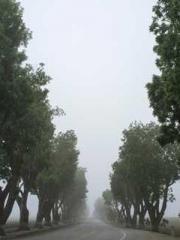 Do not deprive me of