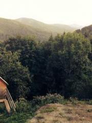 Super husband Lin Xi